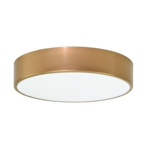 Gold Ceiling Lamp Plafond 40 cm